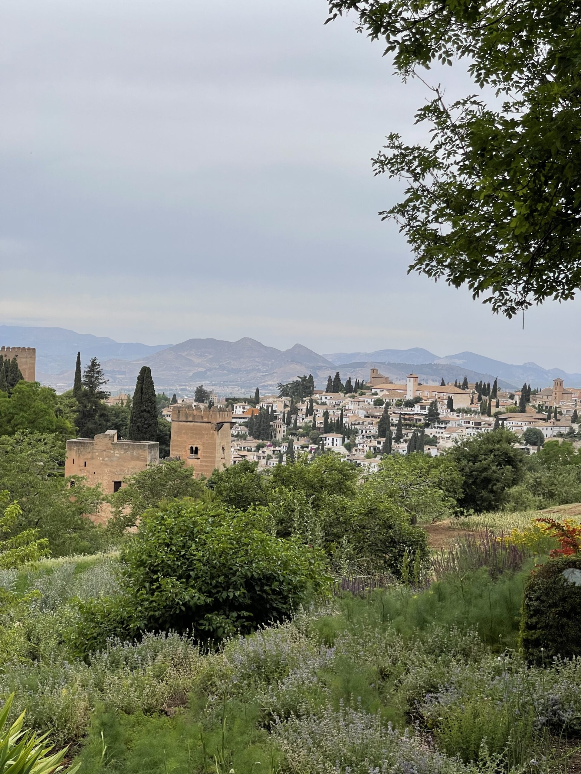 Granada